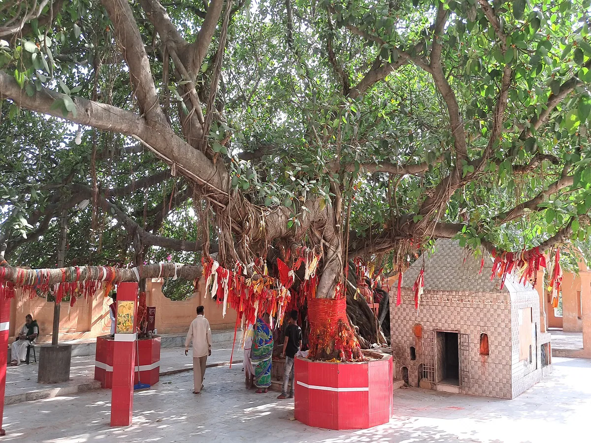 अक्षय वट